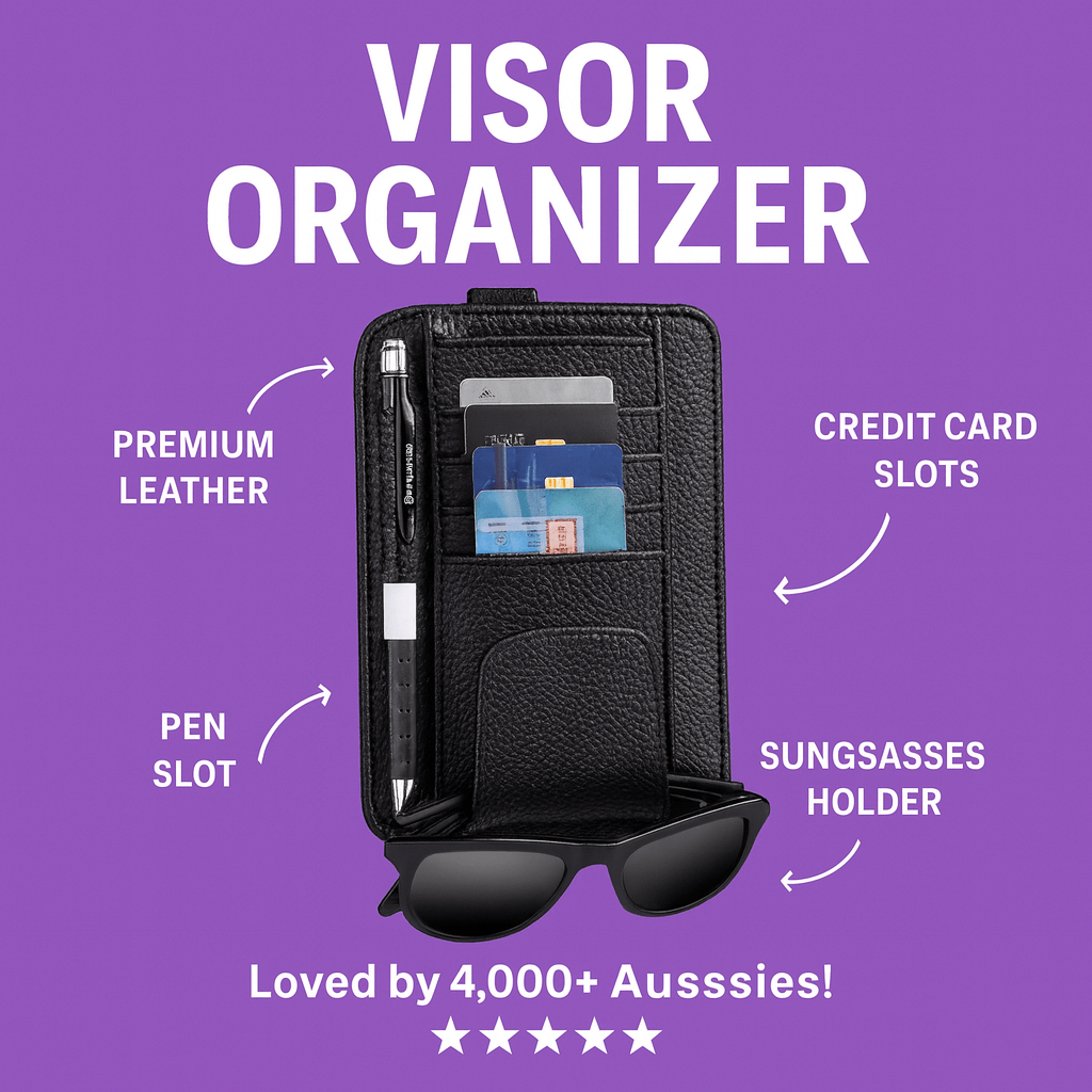Aurora Drive™ Sun Visor Storage Device