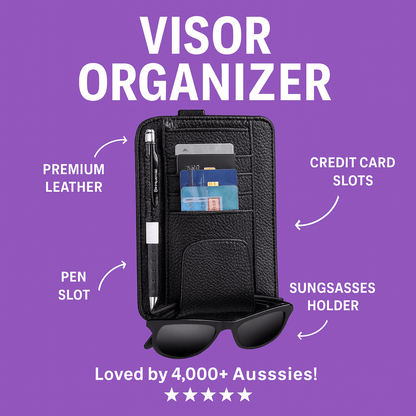Aurora Drive™ Sun Visor Storage Device