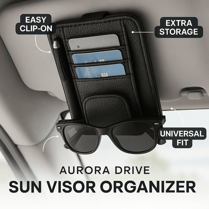 Aurora Drive™ Sun Visor Storage Device